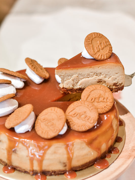 Speculoos Cookie Cheesecake